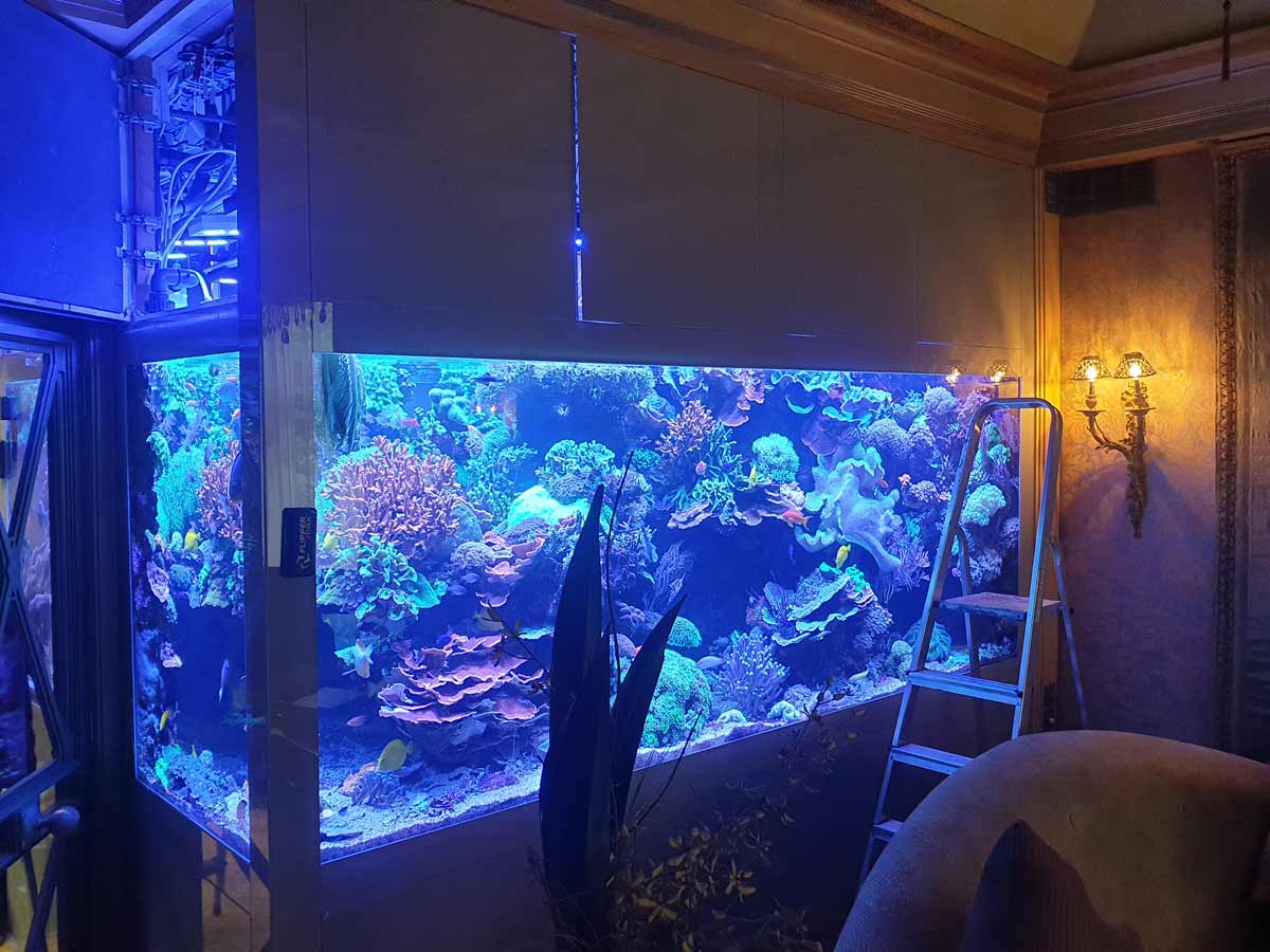 Smart Aquarium Lighting london