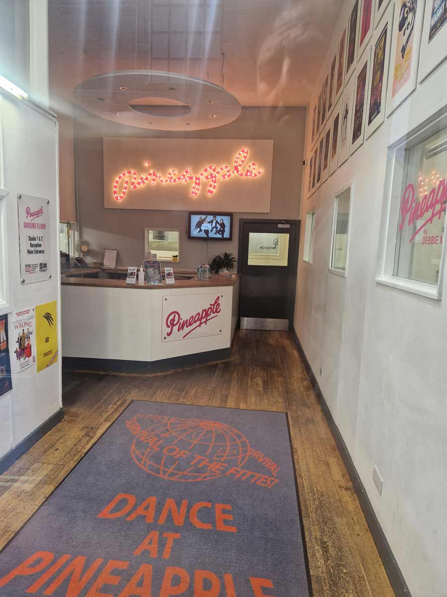 Pineapple Studios Wifi Installation