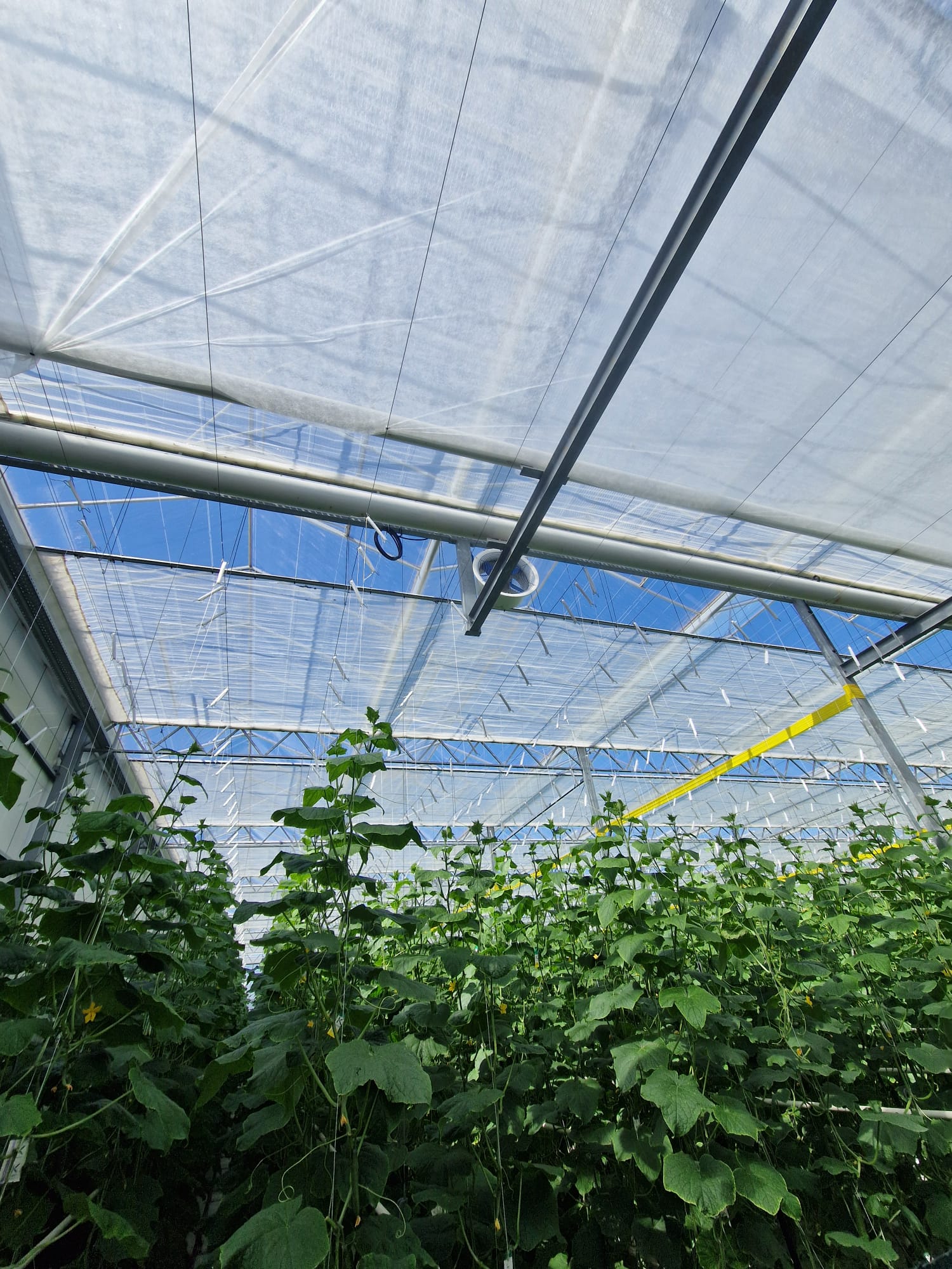 Green-Port-Fresh-Wifi-Leased-Line-Commercial-Enterprise-Essex-gallery-img-11